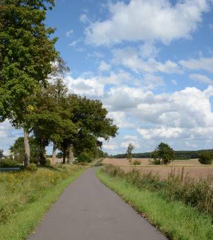 310x350_Feldweg