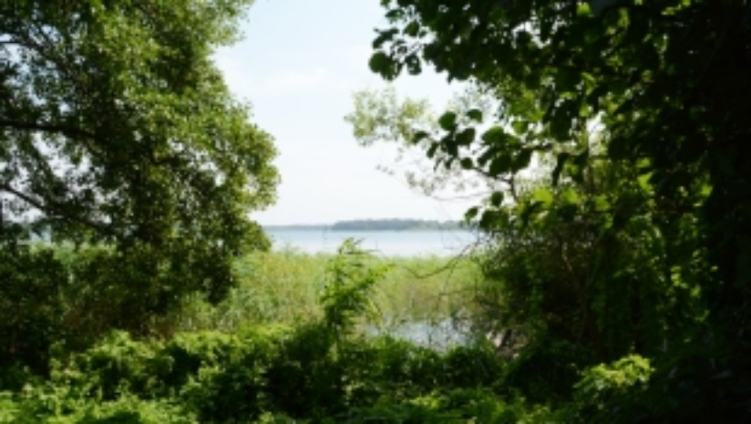 Wanderweg am Strangen Ausblick auf den Schaalsee