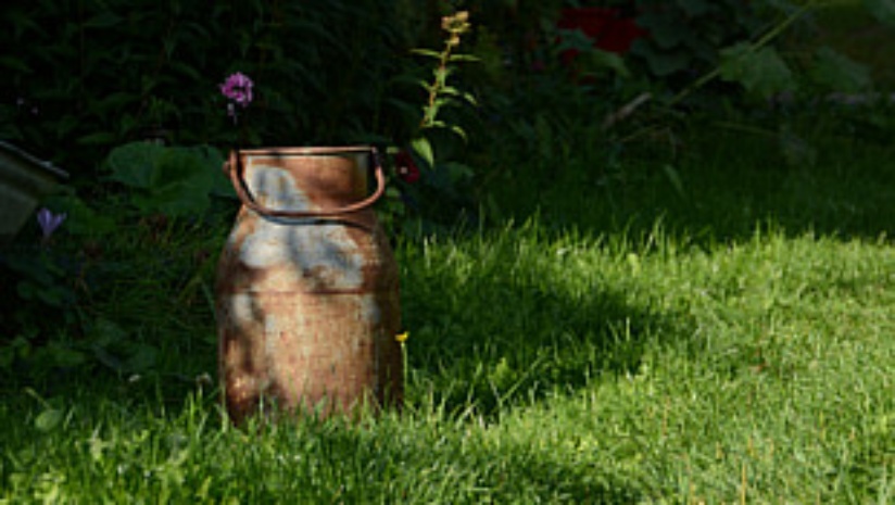 Detail Kanne