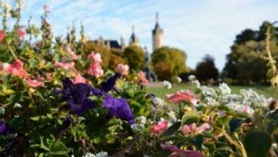 Herbstbepflanzung am Schweriner Schloss