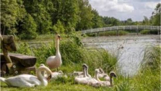 burgsee gadebusch