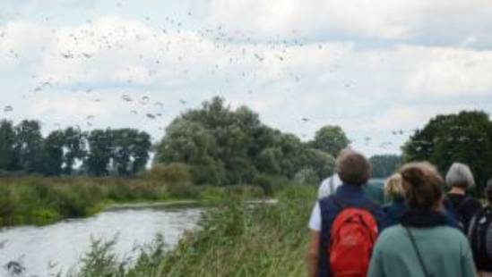 Vogelwanderweg Lewitz