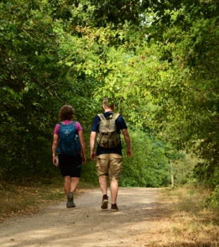 Wanderer in der Schaalseeregion