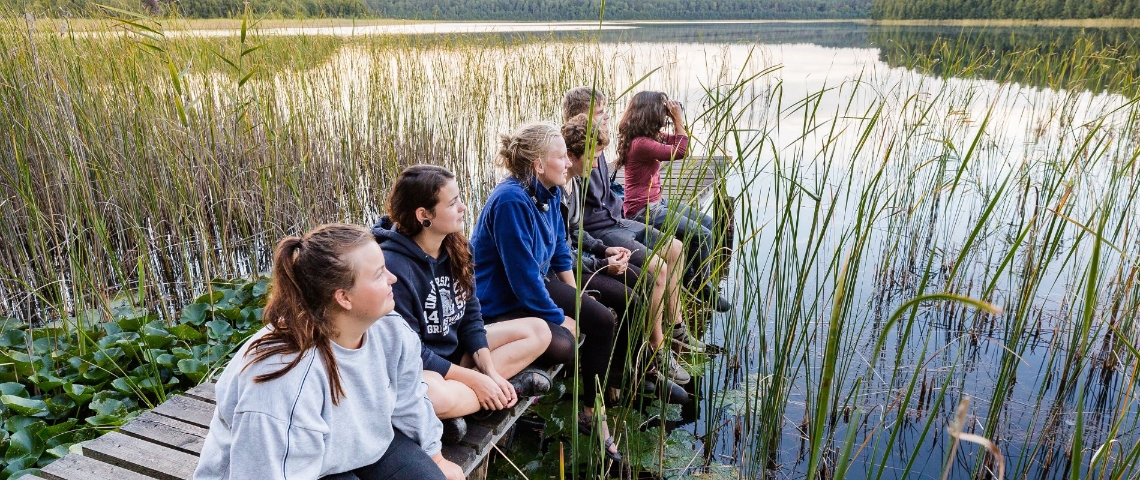 Naturpark Nossentiner Schwinzer Heide MV-T Kirchgessner(2) Naturpark Nossentiner Schwinzer Heide MV-T Kirchgessner(2)