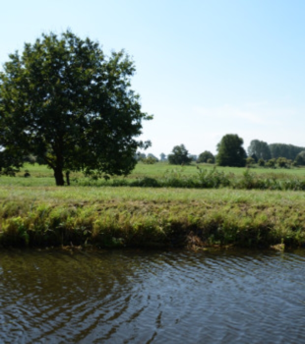 (c) Tourismusverband Mecklenburg-Schwerin