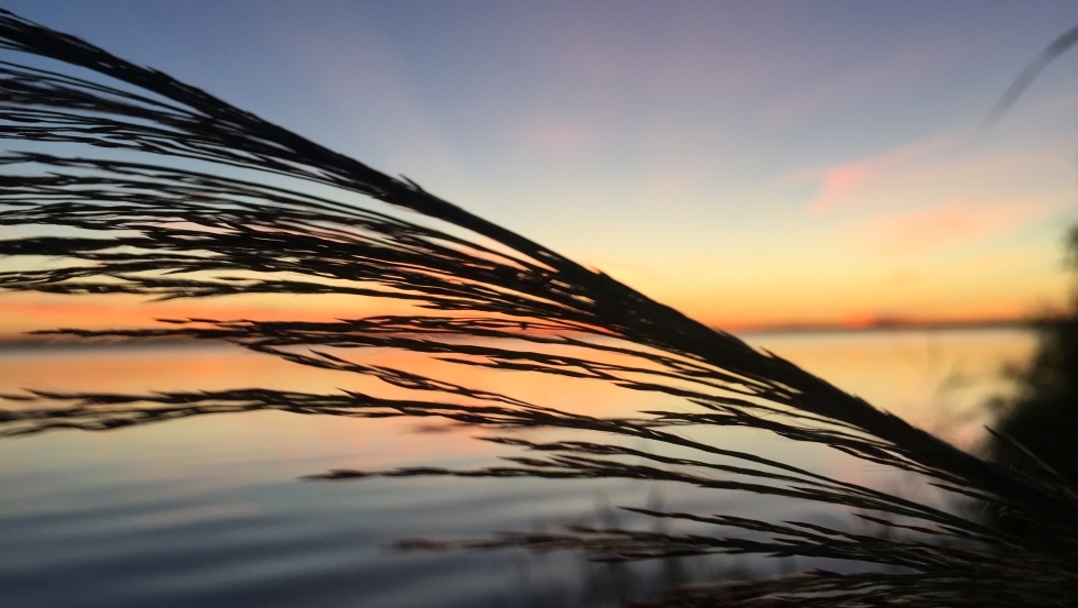 Naturcamping Retgendorf - Sonnenuntergang am Schweriner (c) Familie Kissel