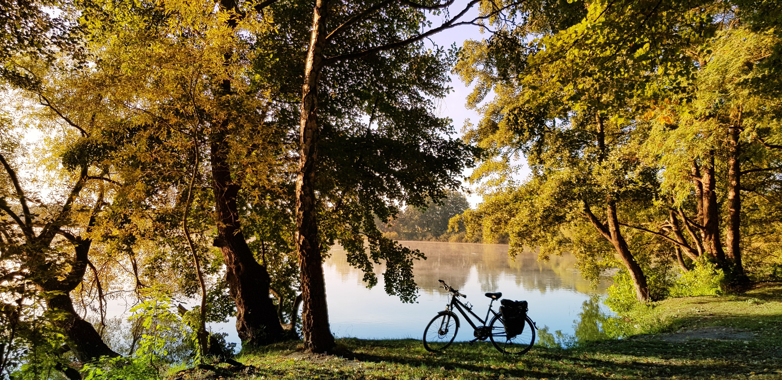 Rad am See im Morgennebel