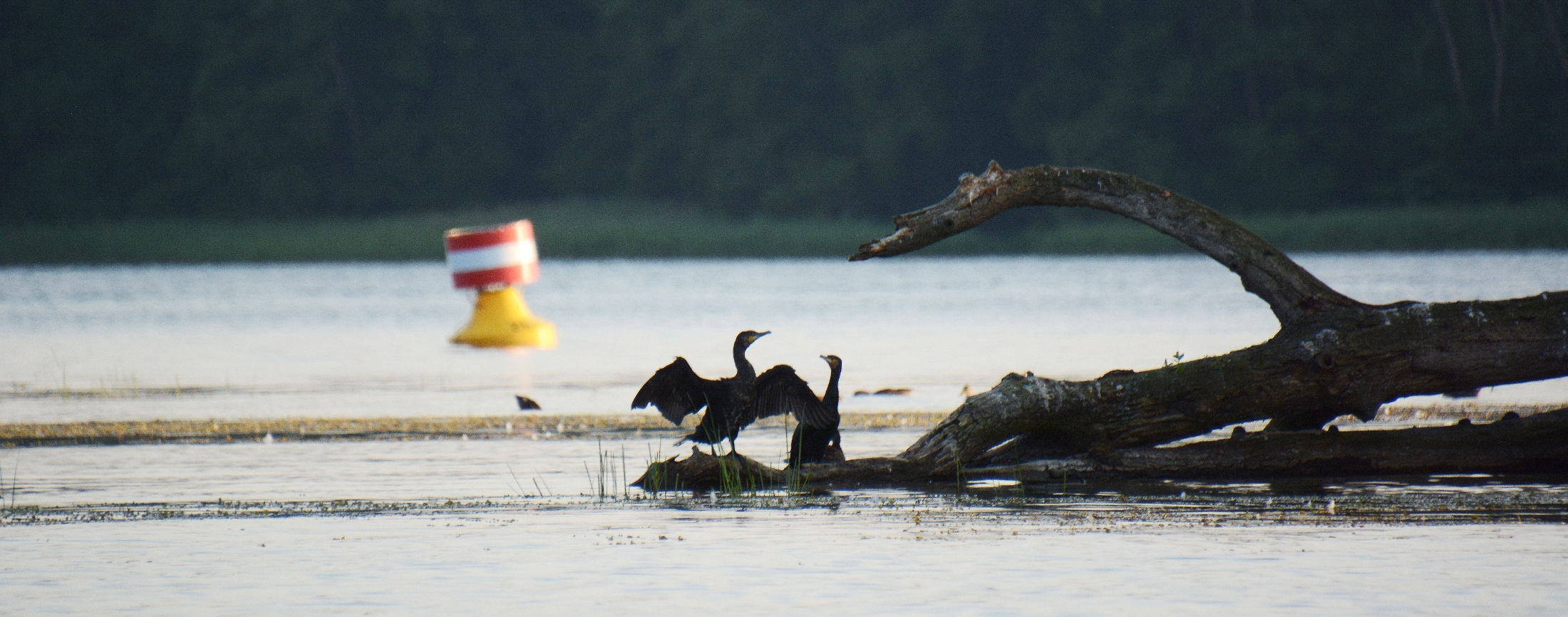 Schweriner See