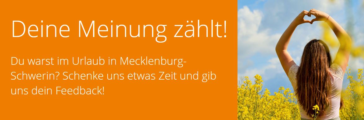 S³ Gästebefragung - Web