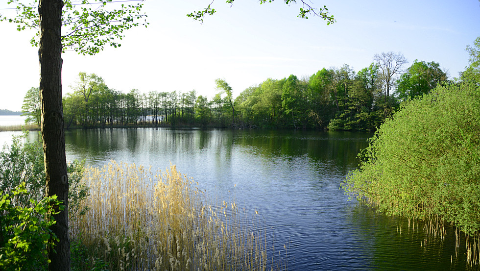 Blick auf den Schaalsee bei Stintenburg