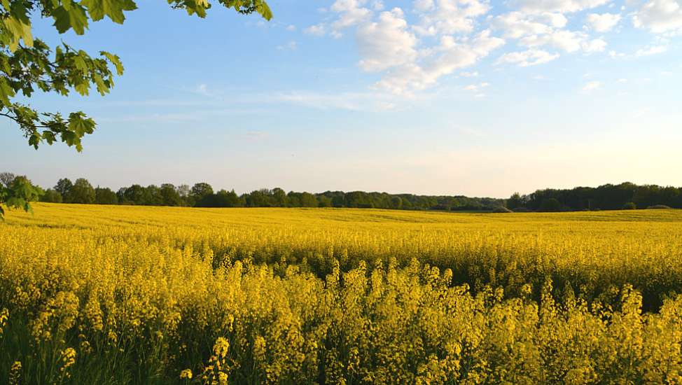 Foto: Tourismusverband Mecklenburg-Schwerin