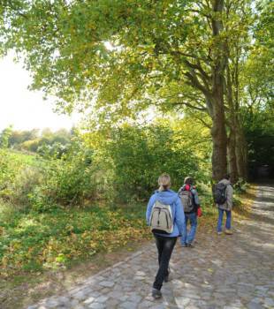 Wandergruppe am Schaalsee