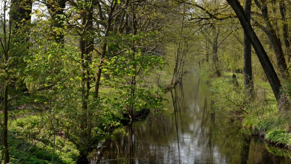 Tourismusverband Mecklenburg-Schwerin