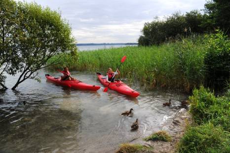 Paddler auf dem Schweriner See