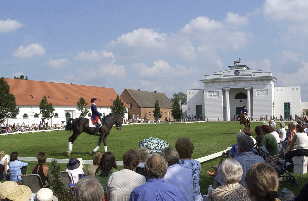 Pferde und Picknick in Redefin