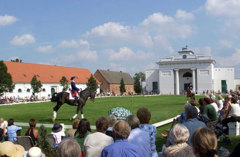 (c) TV Mecklenburg-Schwerin e.V.