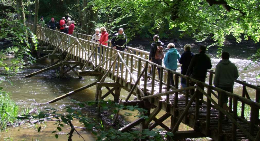 (c) Tourist-Info der Stadt Sternberg