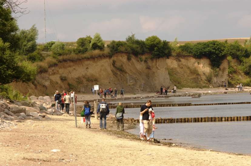 (c) TV Mecklenburg-Schwerin e.V.