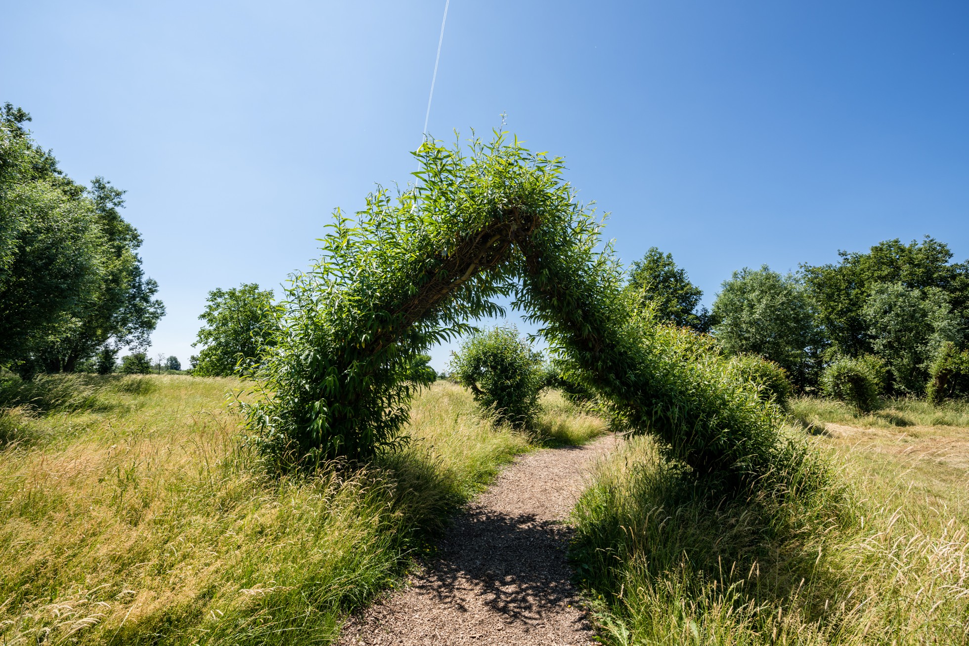 Foto: Kurs Elbe, Markus Tiemann