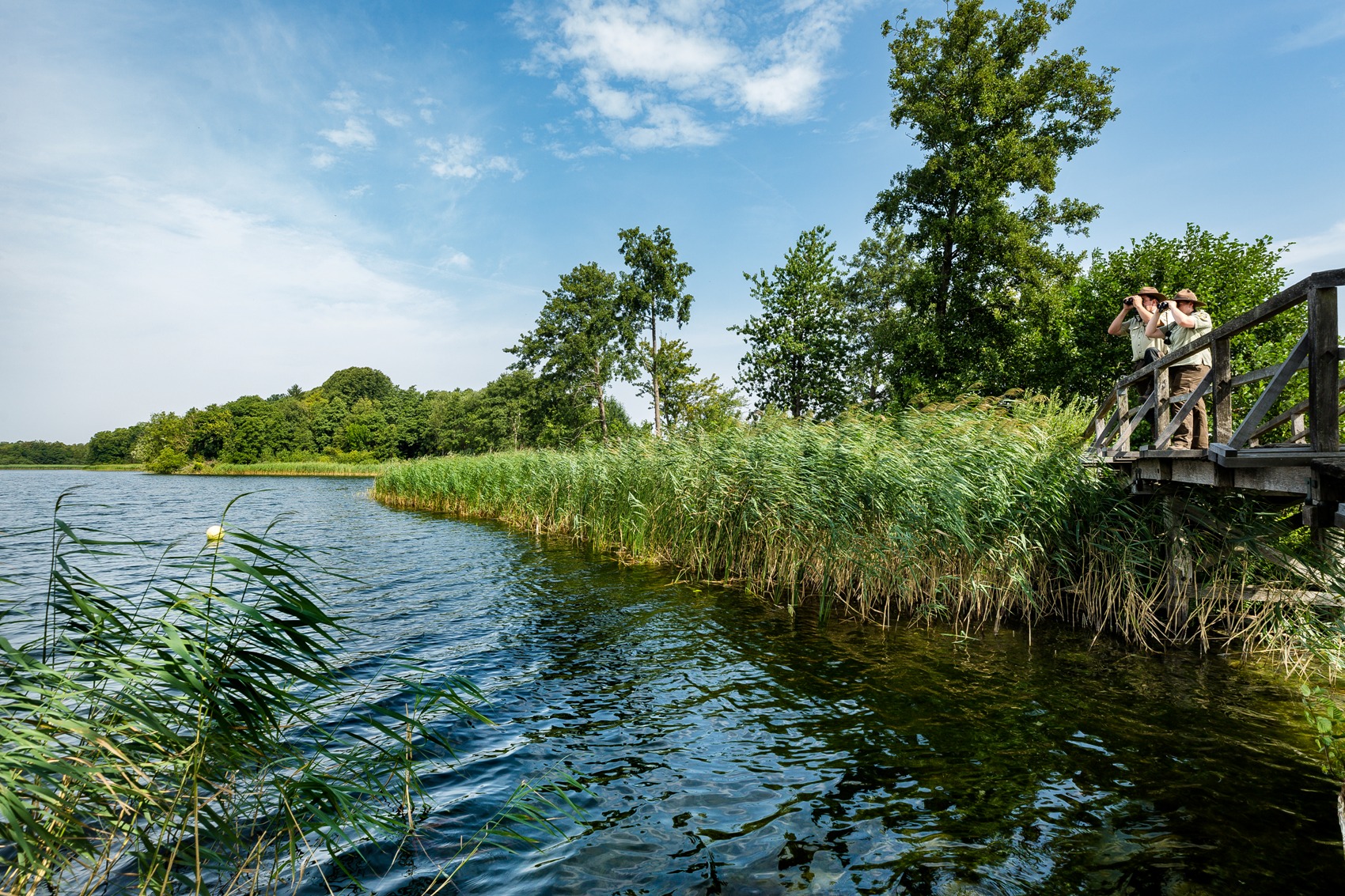 Ranger am Schaalsee bei Zarrentin