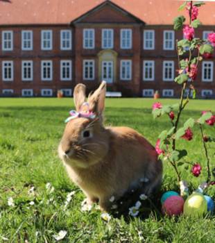 Ostern Schloss Dreilützow