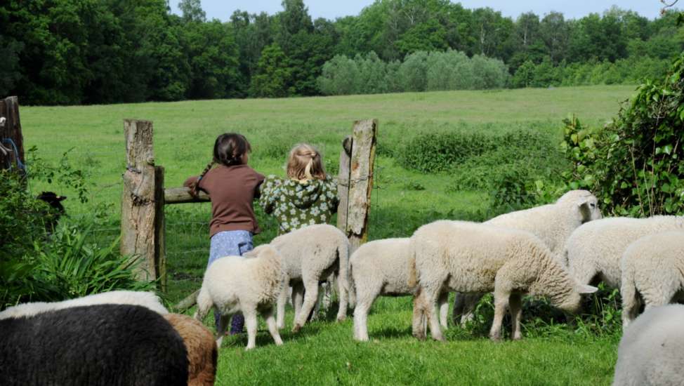 Landurlaub - Frische Luft, die Natur vor der Tür