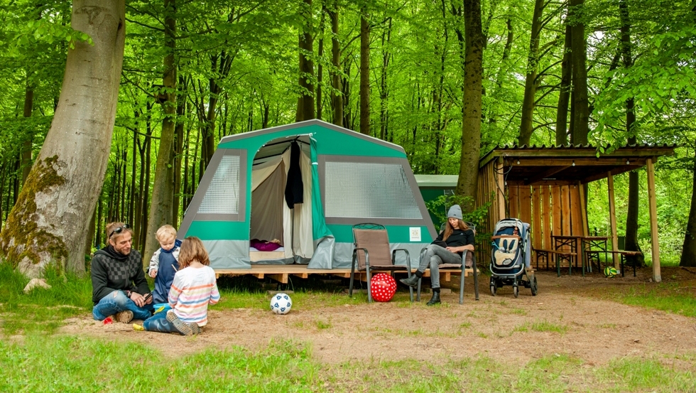 (c) Bermudadreieck Naturcamping & Hafen GmbH