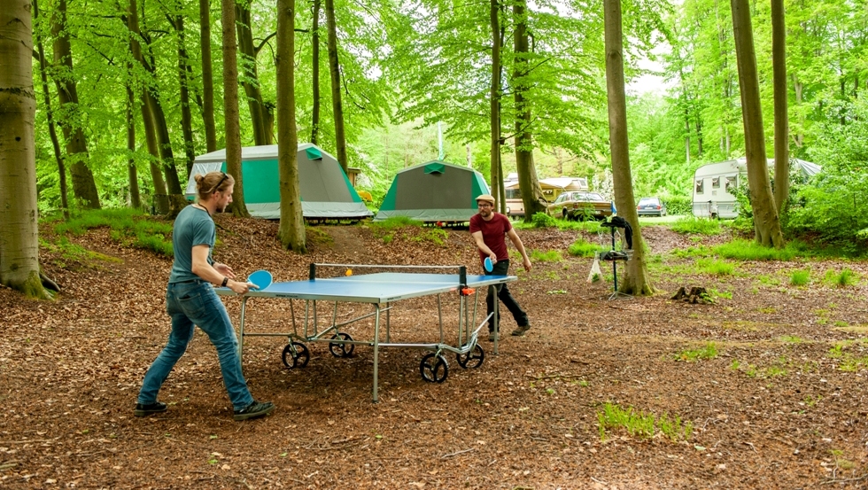 (c) Bermudadreieck Naturcamping & Hafen GmbH