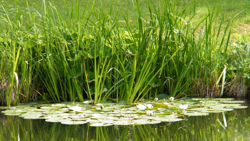 (c) Hotel und Gaststätte Zur Schleuse