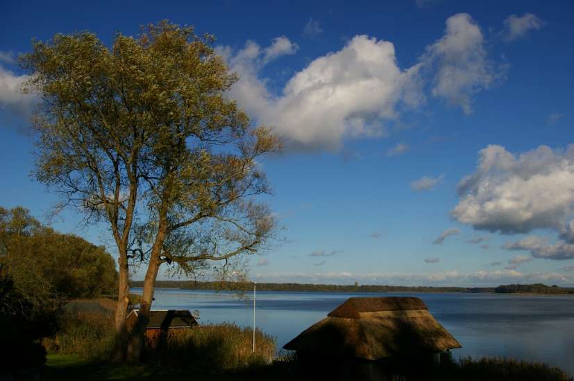 (c) TV Mecklenburg-Schwerin e.V.