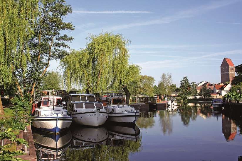 (c) TV Mecklenburg-Schwerin e.V.