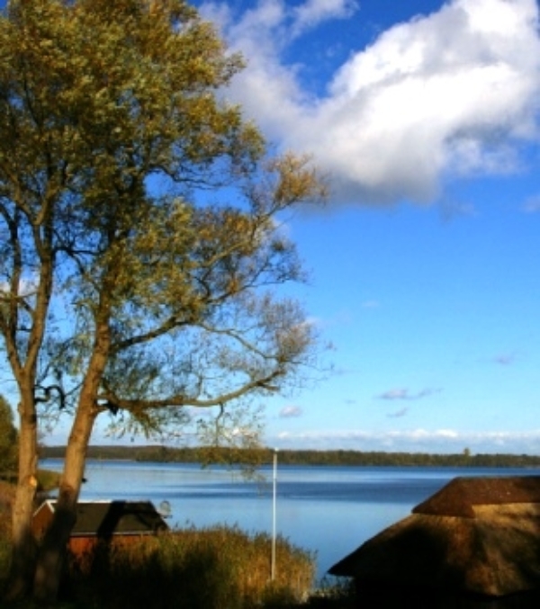 (c) TV Mecklenburg-Schwerin e.V.