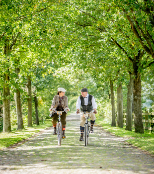 310x350_HAUPTMOTIV_SK_09_Allee_Hofcafe_Glaisin_09_17