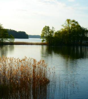 310x350schaalsee_stintenburg