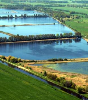 Die Fischteiche der Lewitz