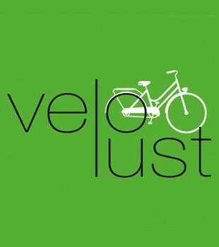 velolust310x350